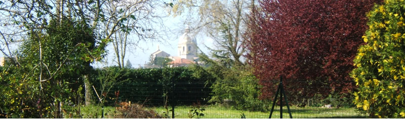 View of the Basilica of Santa Maria degli Angeli 